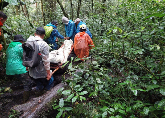 Pendaki Gunung Kerinci yang Jatuh Shelter 3 Berhasil Dievakuasi Tim SAR Gabungan