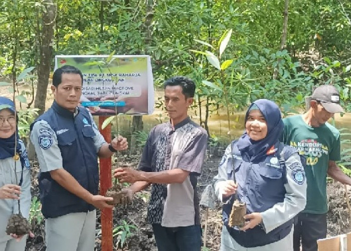 Jasa Raharja Cabang Jambi Dukung Reboisasi Hutan Mangrove di Desa Tungkal I Lewat TJSL 