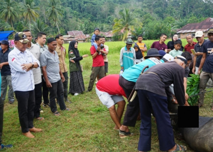 Buka Bantaian Adat di Desa Bukit Batu, Wabup A. Khafidh Bangga Tradisi Tetap Terjaga