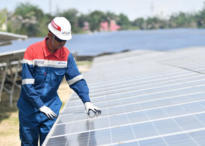 Di Tengah Gejolak Energi Dunia, Pertamina Dorong Energi Terbarukan