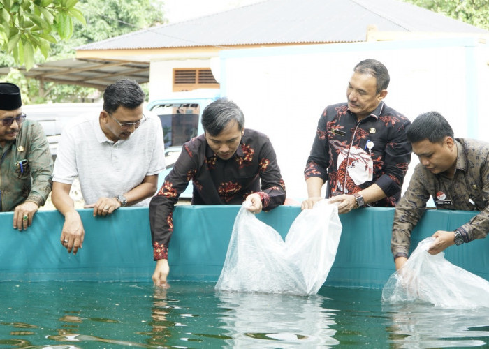 Ketua DPRD Jambi Serahkan 40 Ribu Bibit Ikan Lele Kepada Pokdakan di Thehok