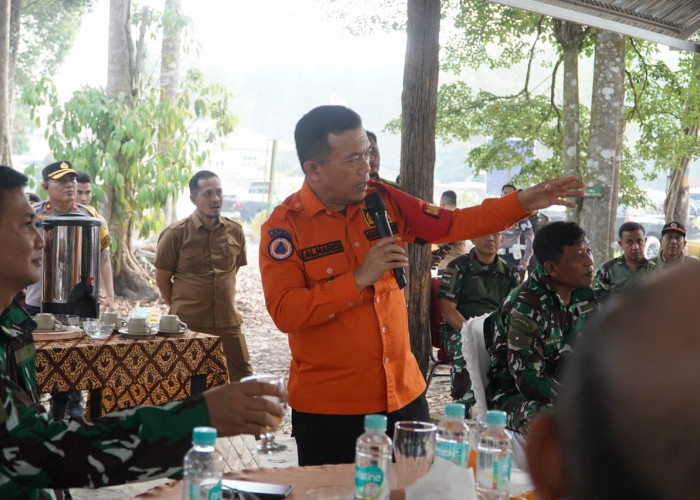 Gubernur Al Haris Dukung Inovasi Tanam Bambu di Lahan Gambut untuk Cegah Karhutla