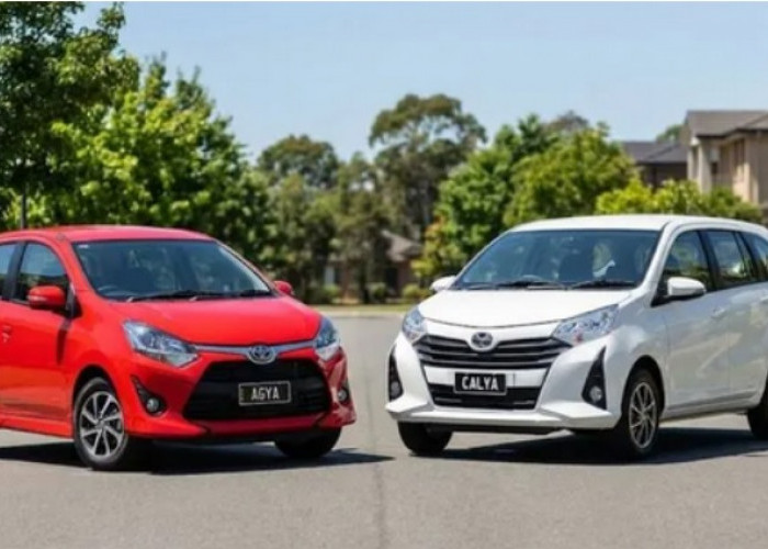 Toyota Calya Bekas vs Toyota Agya Bekas, Mana yang Paling Pas untuk Kebutuhan Anda?