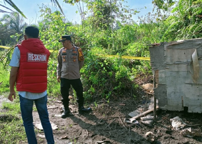 Warga Geragai Temukan Diduga Tengkorak Manusia di Perkebunan Sawit 