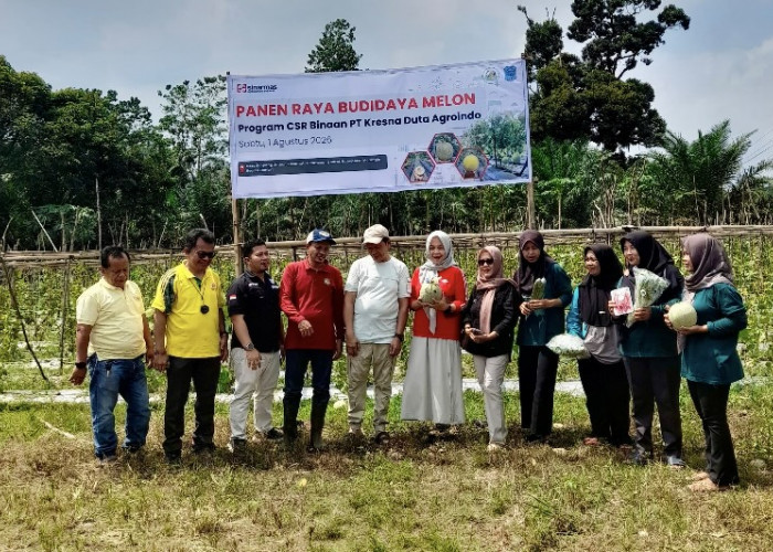 Pendampingan Perkuat Potensi Hortikultura KWT Kirana Tani Menuju Pasar Modern