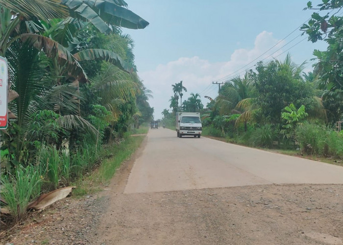 SKK Migas-PetroChina Cor Beton Ruas Jalan Simpang 4 Blok D – Mendahara Tanjab Timur Sepanjang 1,96 Km