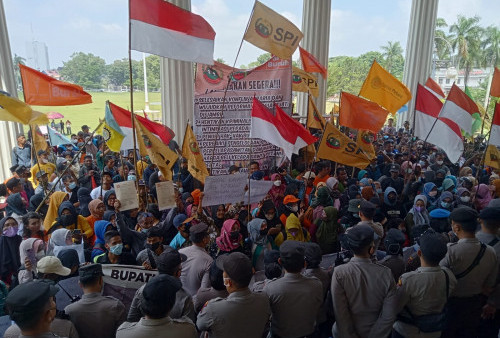 SPI Jambi Sesaki Kantor Gubernur Jambi, Petani : Kami Takkan Pulang Sebelum Ditemui Gubernur 