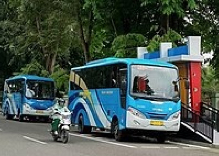 Tarif Trans Siginjai Direncanakan Naik, Tunggu Persetujuan Gubernur