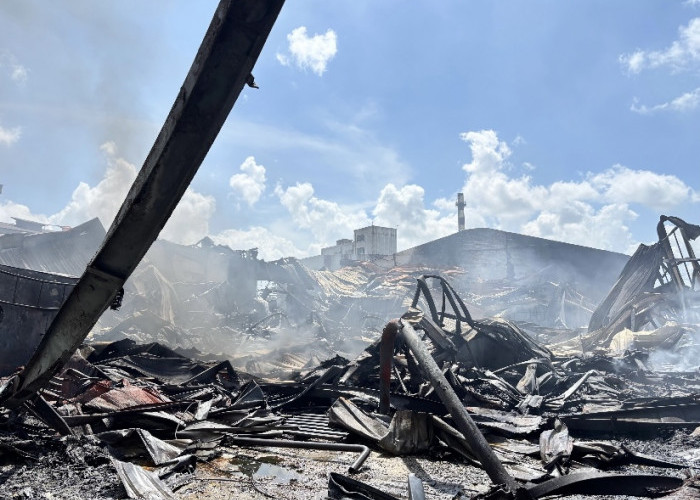 Gudang Pengemasan Minyak Goreng di Muaro Jambi Ludes Terbakar, Dua Mobil Operasional Ikut Hangus 