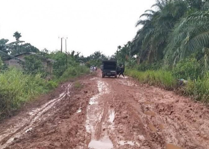 Jalan Rusak Berat, Warga Kumpeh Tagih Janji Pemerintah