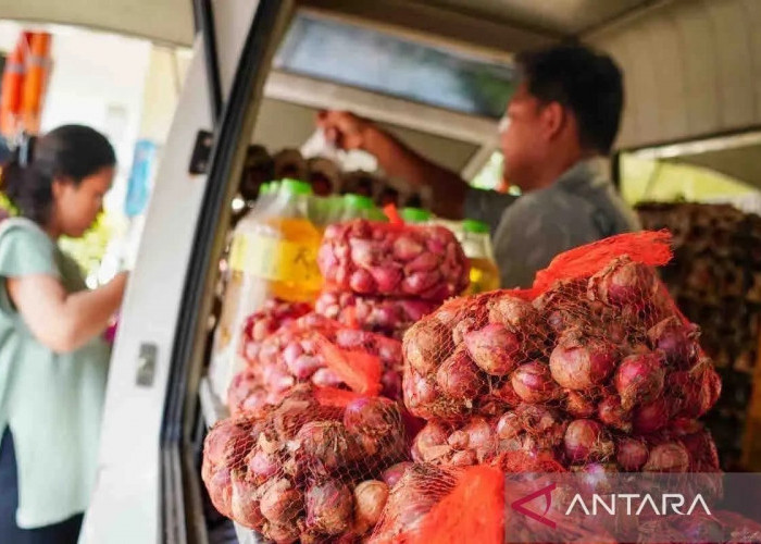 Harga pangan, Bawang Merah Rp40.920/kg, Gula Konsumsi Rp17.960/Kg