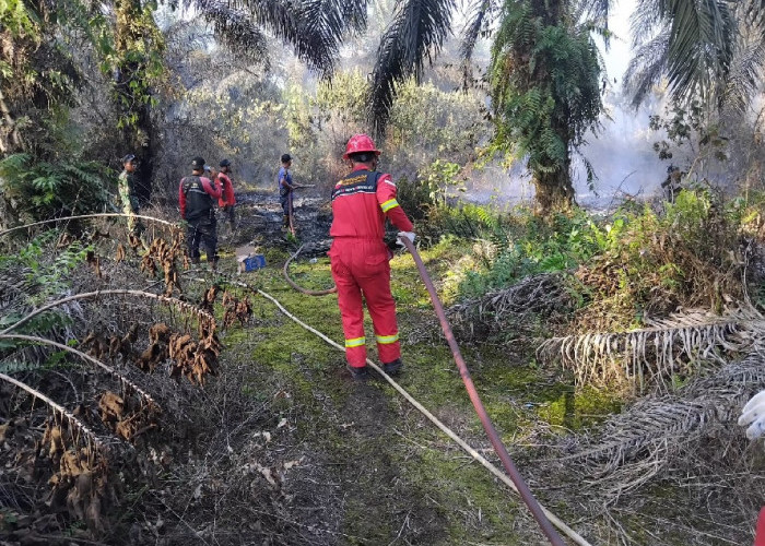 PetroChina Bantu Padamkan Karhutla di Jambi