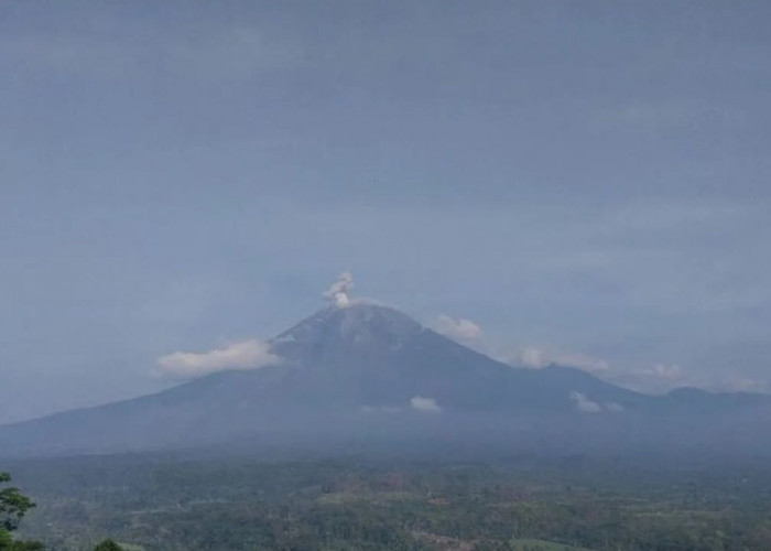 Gunung Semeru Luncurkan Awan Panas Disertai Getaran Banjir