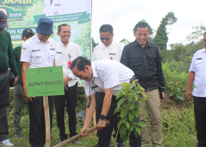 Mewakili Bupati Bungo, Sekda Pimpin Penanaman 2.050 Pohon