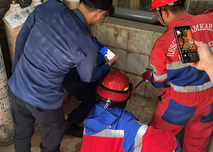 Ular Sanca Masuk Ruang Oksigen RS Kambang, Berhasil Dievakuasi Damkartan Kota Jambi 