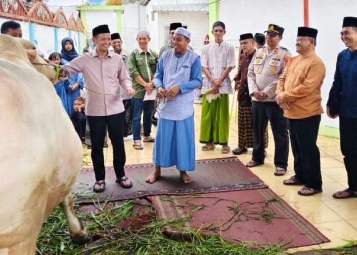 Wabup Muslimin Tanja Serahkan Sapi Kurban dari Presiden untuk Warga Mendahara
