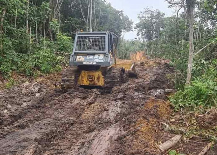 Land Clearing Jalan Tol Tempino-Simpang Ness Terus Dikebut, Tersisa 700 Meter Pembukaan Lahan 