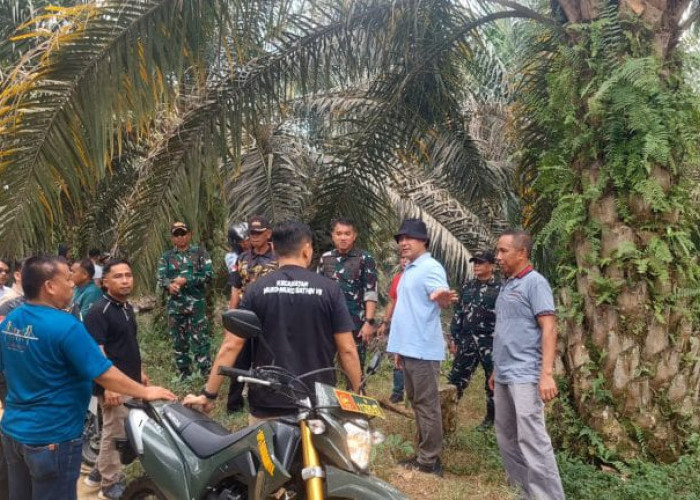 Dandim 0416/Bute Cek Lokasi TMMD ke-129 di Tanjung Agung