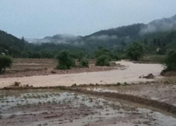 Astaghfirullah! 3 Kabupaten di Sumbar Diterjang Banjir dan Banjir Bandang, Jalan Nasional Tergenang