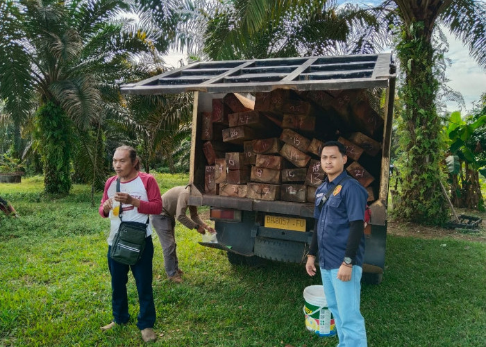 Polres Merangin Ungkap Kasus Ilegal Logging, 5 Kubik Kayu dan Satu Tersangka Berhasil Diamankan