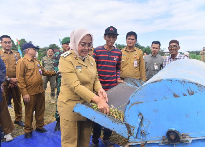 Optimalkan Lahan Tidur, Pemkot Jambi Jamin Ketahanan Pangan Local