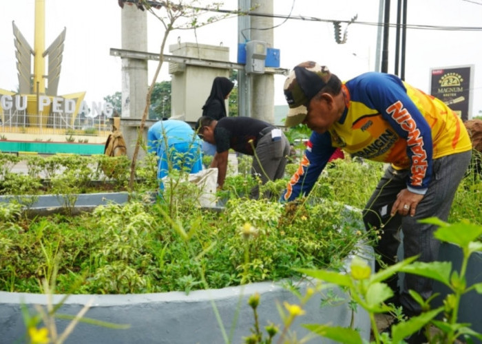 Turunkan Alat Berat, Pemkab Merangin Goro Massal di Tiga Titik