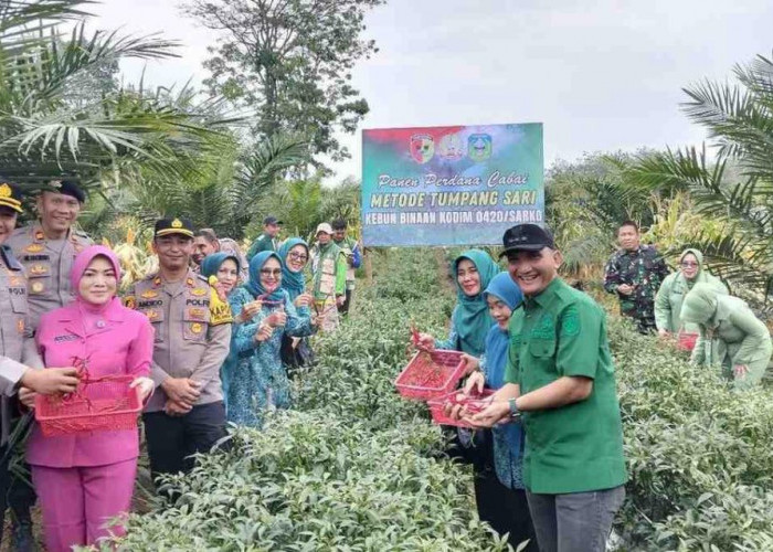 Panen Perdana Metode Tumpang Sari, Bupati Hurmin Sebut Dukung Astacita Presiden