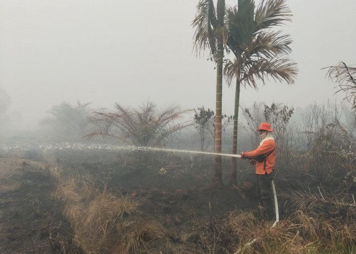 Dikepung Asap, Tim Gabungan Berjibaku Padamkan Karhutla di Tanjabtim, Terkendala Kanal Kering