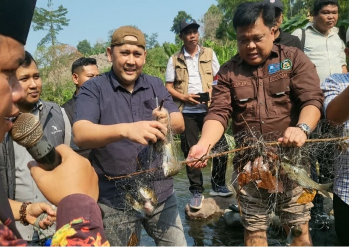 Bupati M. Syukur Buka Lubuk Larangan Durian Rambun, Alokasikan Rp3 Miliar dan Larang Aktivitas PETI