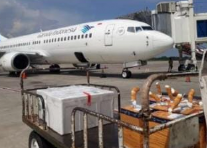 ﻿Garuda Indonesia Cargo Kirim Sarang Madu Jambi ke Singapura
