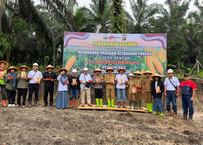 Sinergi PT Bahari Gembira Ria dan Pemerintah Perkuat Ketahanan Pangan Melalui Penanaman Jagung