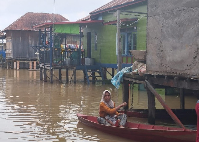 Kota Jambi Mulai Tergenang, Pj Wali Kota Jambi Tinjau Banjir di Tahtul Yaman