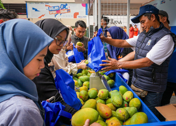 Diberdayakan BRI, Petani Mangga Bondowoso Mampu Perluas Lahan dan Tingkatkan Taraf Hidup