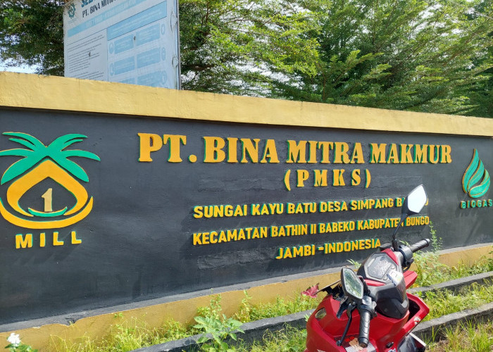 Limbah Pabrik Meluap ke Sungai, Dinas Lingkungan Hidup Bungo Akan Panggil Managemen PT BMM