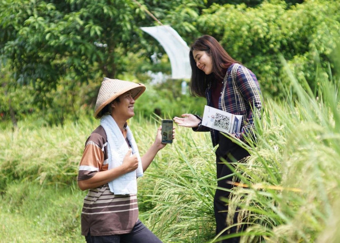 Tahun 2025, BRI Salurkan KUR Rp178,08 T, Lebih dari 60% Mengalir ke Sektor Produksi Penggerak Ekonomi Rakyat