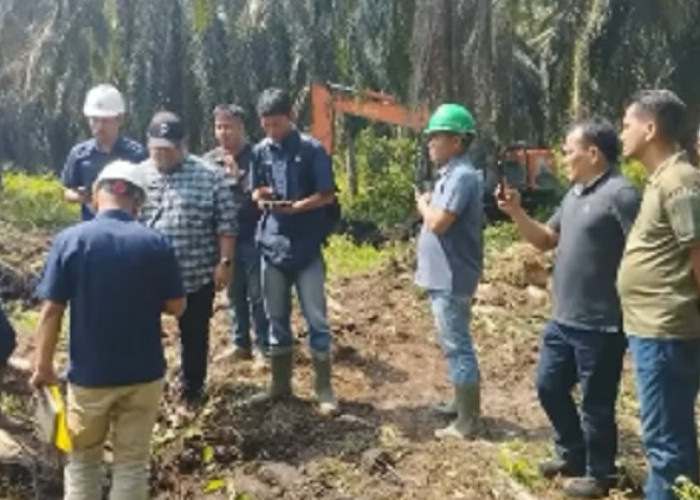  Region Head PTPN IV Regional IV Kawal Langsung Replanting Kebun Batang Hari Demi Masa Depan 25 Tahun