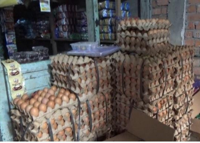 Harga Telur Ayam Naik Signifikan, Tembus Rp 56 Ribu Per 30 Butir
