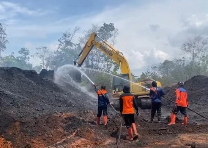 Polda Jambi dan Dinas Terkait Lakukan Pengecekan Batubara yang Terbakar di Sungai Gelam 