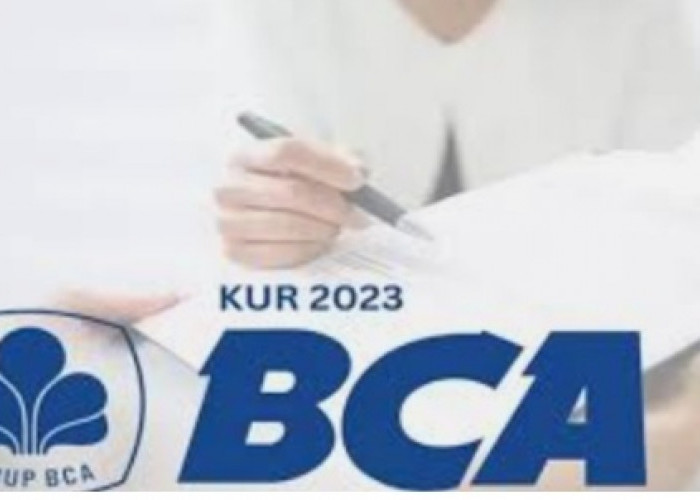 BCA Sediakan Rp 500 Juta Untuk Program KUR BCA 2023, Simak Syarat-Syaratnya