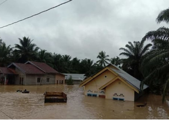 Ratusan Rumah Di Kabupaten Tebo Terendam Banjir