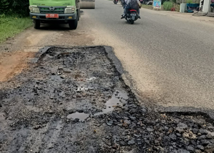 Jalan Rusak Mulai Diperbaiki, Kemas Faried Alfarelly Ucapkan Terimakasih Pada Pemprov dan DPRD Provinsi Jambi