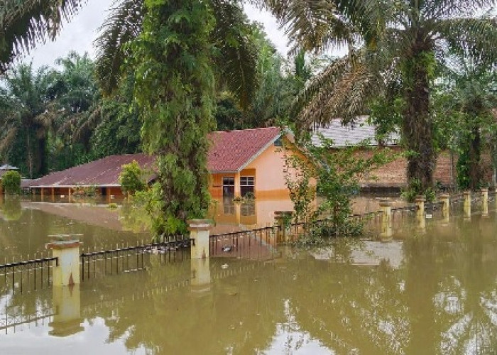 17 Sekolah Masih Diliburkan, Tebo Tengah Waspada Air Kiriman Sungai Batang Tebo