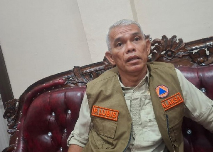 Muaro Jambi Tetapkan Status Siaga Darurat Karhutla