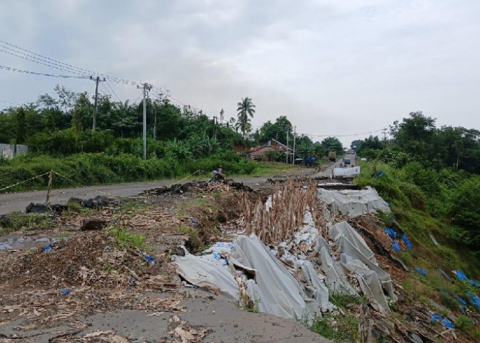 Warga Sebut Pemerintah Abai, Kerusakan Jalan Lintas Sumatera di Jujuhan Bungo tak Kunjung Diperbaiki