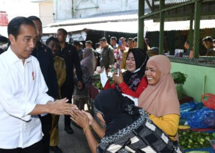 Kunjungi Pasar Brahrang, Presiden Jokowi: Harga Bawang Merah Rp 20-22 Ribu