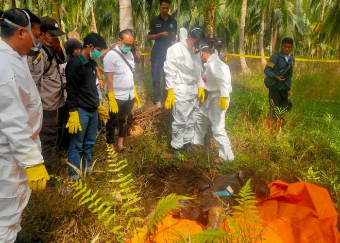 Empat Hari Tak Ada Kabar, Kakek 75 Tahun Ditemukan Meninggal di Kebun