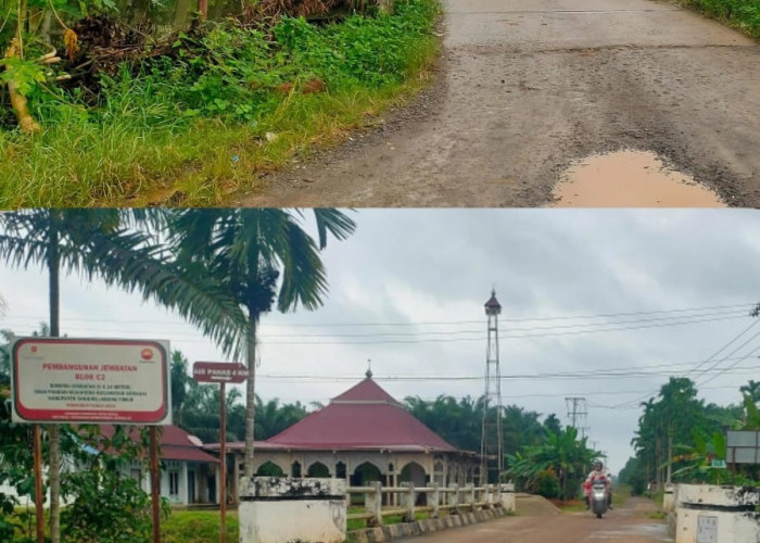 2 Jembatan SKK Migas PetroChina di Desa Pandan Makmur & Pandan Sejahtera Masih Kokoh Topang Ekonomi Tanjabtim