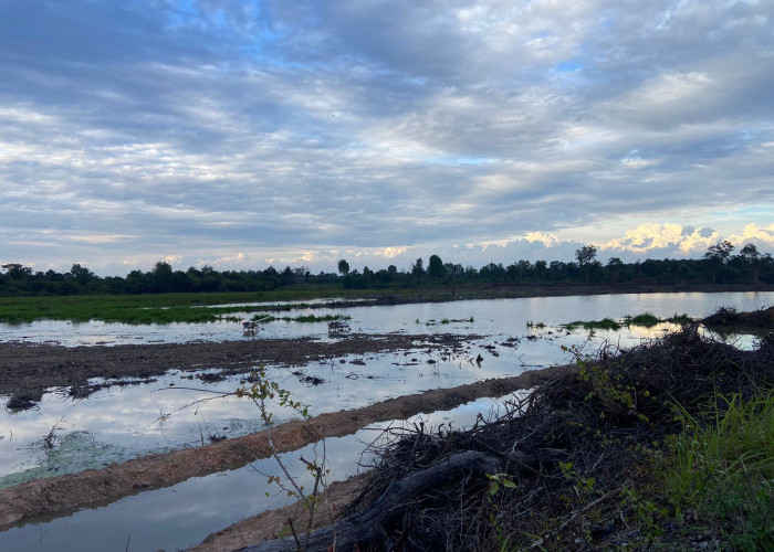 Tingkatkan Produksi Padi, Pemkab Batang Hari Siapkan Jaringan Irigasi Tersier