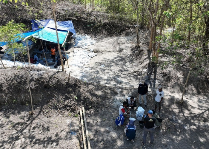 Badan Geologi Temukan Fosil Gajah Purba di Situs Mala Huma Provinsi NTT