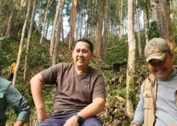 Bupati Merangin M. Syukur Takjub Bandingkan Pesona Hutan Rio Kemunyang dengan Ubud Bali